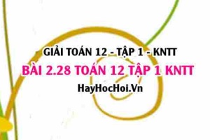 Giải 2.28 Toán 12 tập 1 SGK Kết nối tri thức